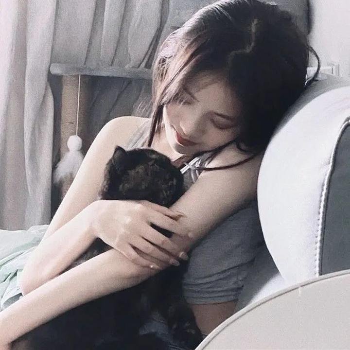 总裁是个纸片人